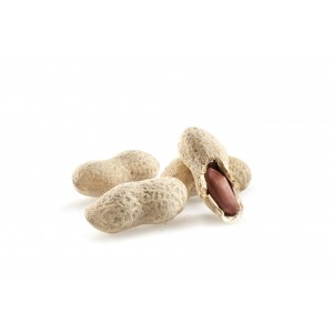 PEANUTS IN SHELL ROASTED SALTED